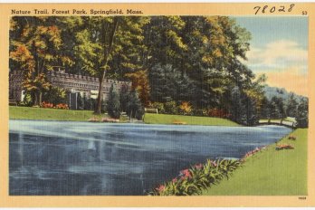 Vintage color postcard of Forest Park in Springfield, MA, showing watercourse flanked by mown turf and verdant deciduous trees. Image Source: Boston Public Library Fickr account