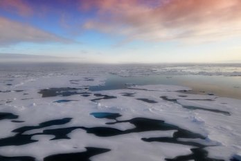 Floating  snow-covered ice sheets on calm sea, with ponds of meltwater, at dawn or dusk.