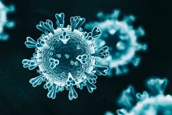 Stylized 3D scanning electron microscope image of Coronavirus phage