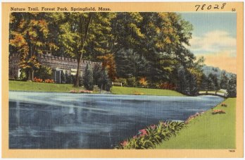 Vintage color postcard of Forest Park in Springfield, MA, showing watercourse flanked by mown turf and verdant deciduous trees. Image Source: Boston Public Library Fickr account