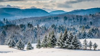Snowy Vermont mountains with spruce trees in foreground.