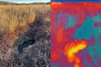 A photo of an area of a retired cranberry bog in Plymouth is seen next to a thermal infrared image of the same area, demonstrating warmer water in the pool. Source: Christine Hatch