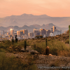 Picture of downtown Phoenix with mountains in background, framed by saguaro cacti