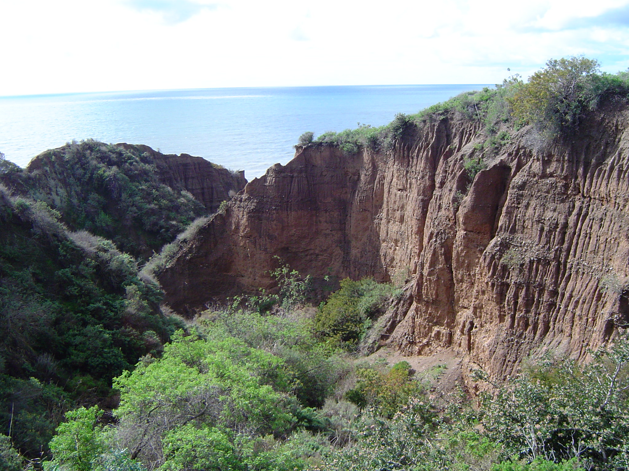 Rock Outcrop at San Onofre