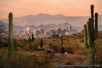 Picture of downtown Phoenix with mountains in background, framed by saguaro cacti