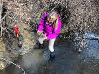 Dr. Julie-Brigam Grette, wearing bright-purple windbreaker and muck-boots, standing at muddy streambank, feet in water, examining hunks of clay-rich varve deposits she is holding. A shove rests, eager, on the bank.
