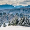 Snowy Vermont mountains with spruce trees in foreground.