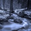 A rushing brook winds its way through a snow-dusted woodland