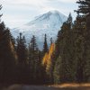 Conical snow-capped volcano in the Pacific Northwest U.S., as viewed from a forest road lined with conifers
